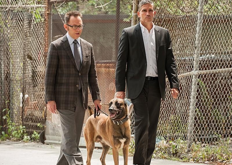 #11. Person of Interest
